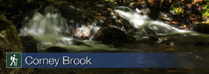 corney brook pic.jpg